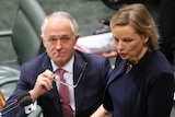 Malcolm Turnbull looks on as Sussan Ley stands to address Parliament.