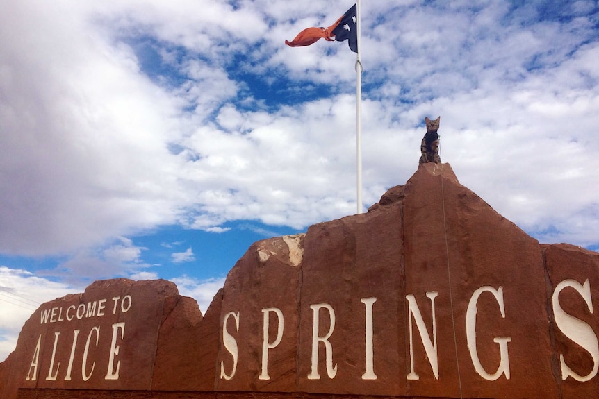 A cat with brown spots sits upon a large rock with 'Alice Springs' painted in white on it.