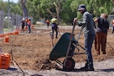 A man tips mulch from a wheelbarrow onto a section of cleared land, with other workers behind him.