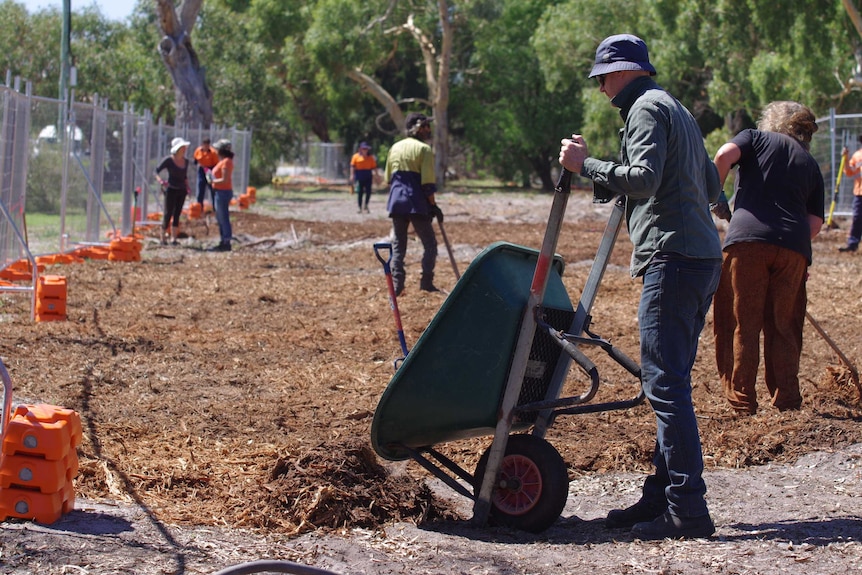 A man tips mulch from a wheelbarrow onto a section of cleared land, with other workers behind him.