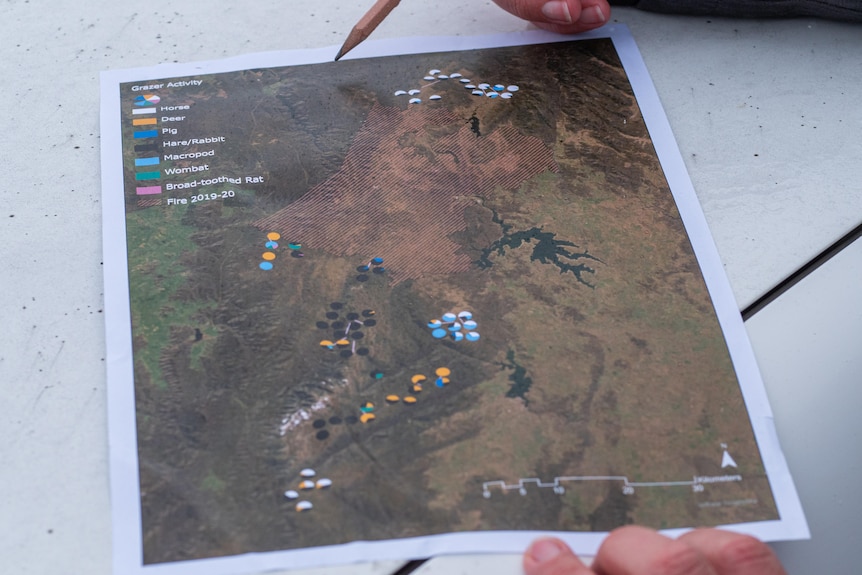 Someone points at a map with a pencil, the map shows Kosciuszko National Park with different coloured circles. 