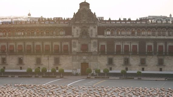 Thousands of naked volunteers posed in Mexico City
