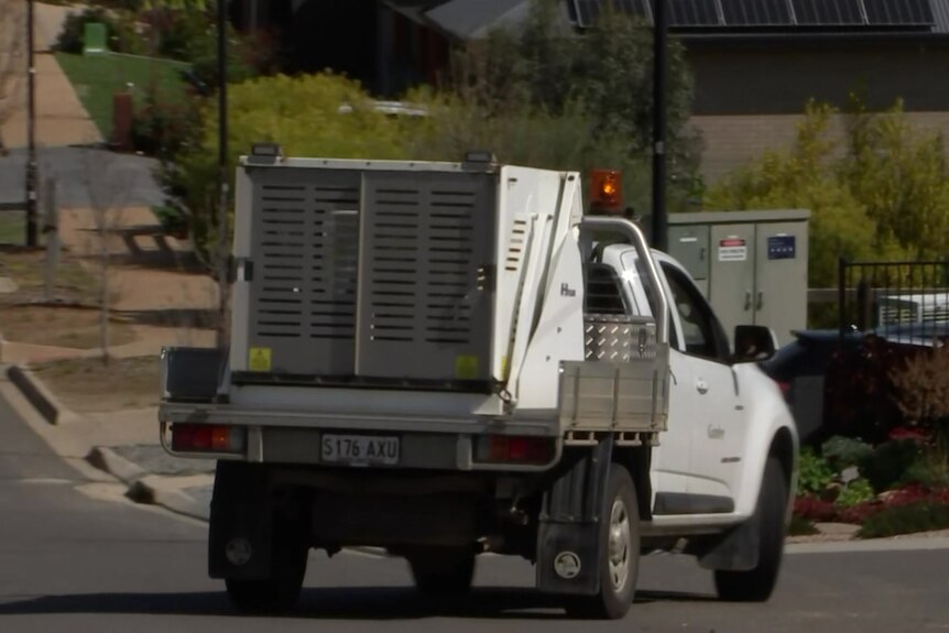 Dog cages on the bag of a ute.