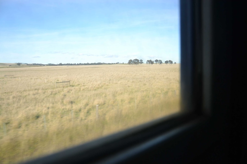 View of field from train