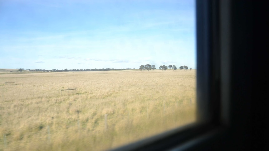 View of field from train