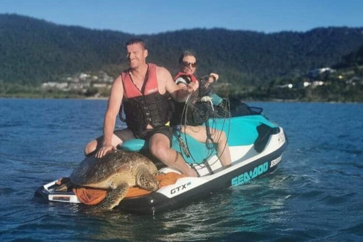 Two people on a jetski with a turtle being carried on the front.