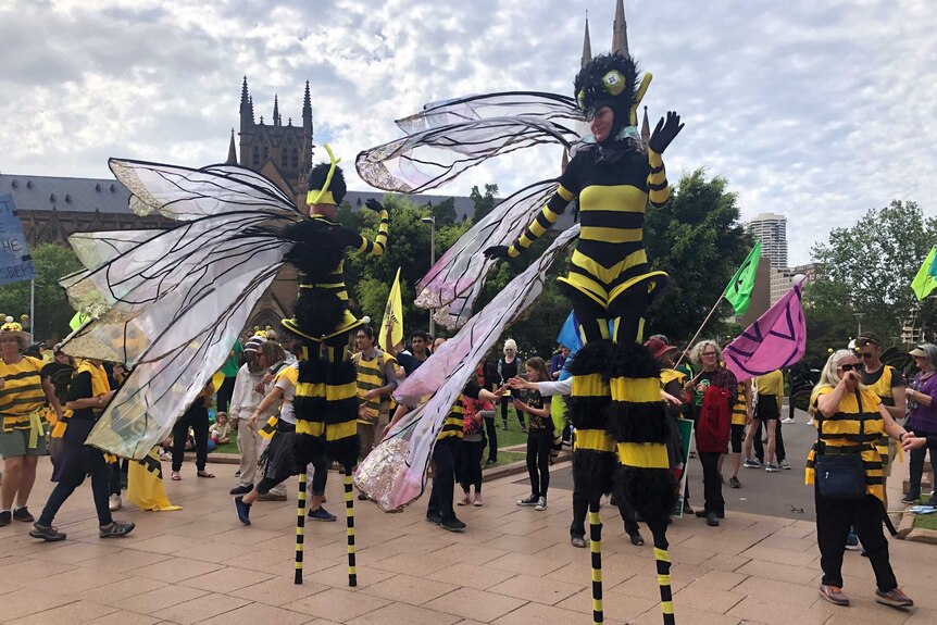 Two performers dressed as bees on stilts