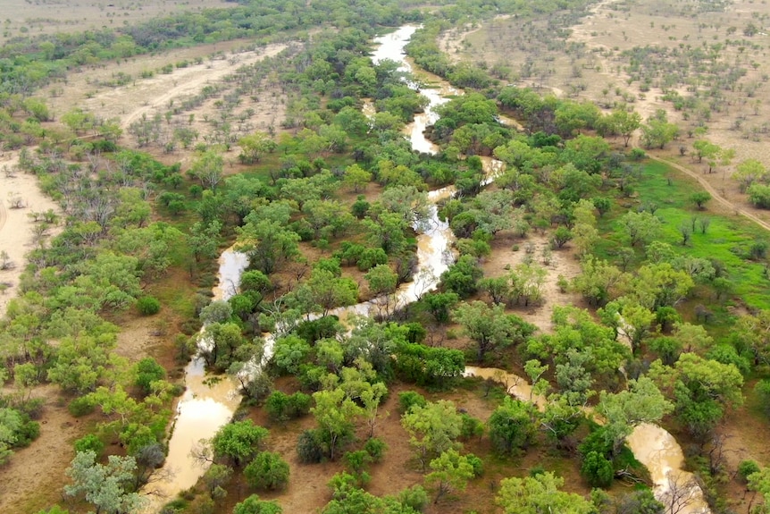 A brown body of water snakes through an outback landscape 