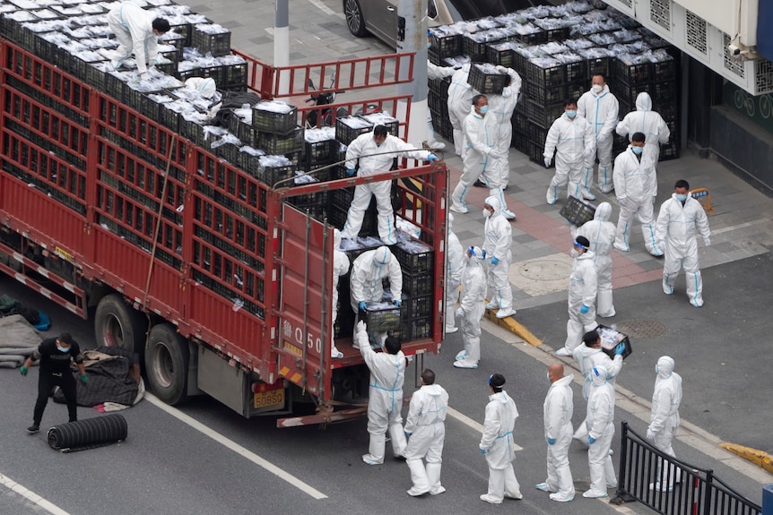 Workers in PPE unload groceries from a truck