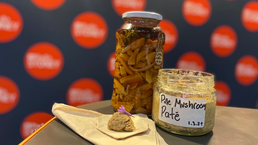 Cracker with mushroom pâté and a pink flower, next to a jar of mushroom pâté and a jar of preserved mushrooms.