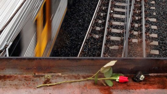 A single rose lies above the train tracks