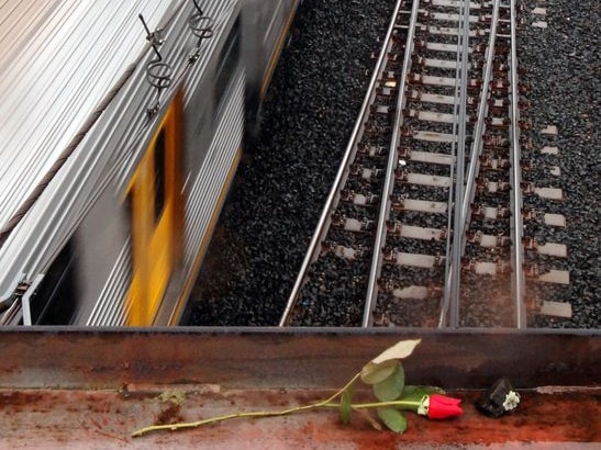 A single rose lies above the train tracks