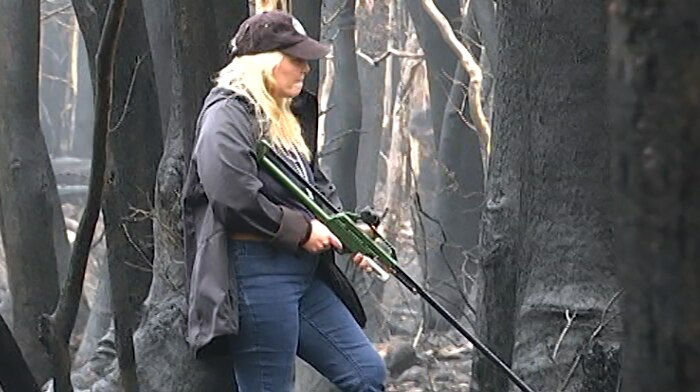 Lynleigh Greig searching the 'black edge' of a fireground near Cathcart for bushfire injured wildlife