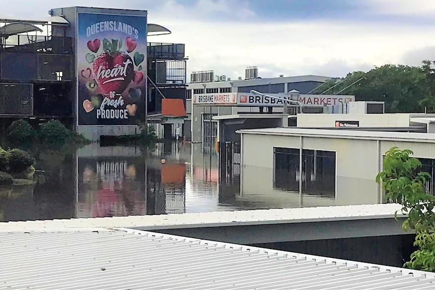 Flood waters at a large market in Brisbane.