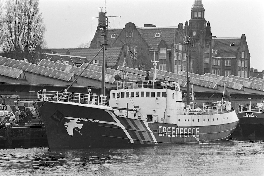 The Rainbow Warrrior in Amsterdam awaiting departure to Newfoundland on March 2, 1981.