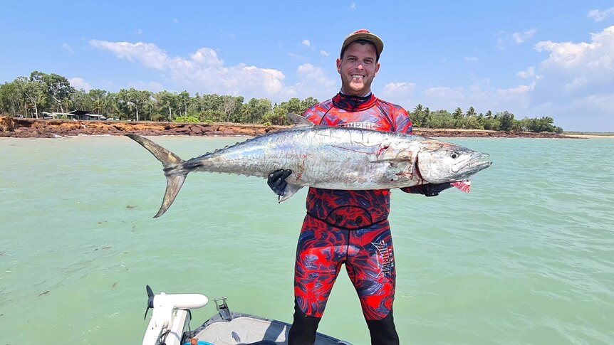 A spanish mackerel caught spearfishing in the Top End