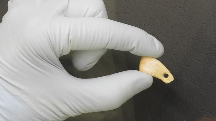 A gloved hand holding a small white pendant