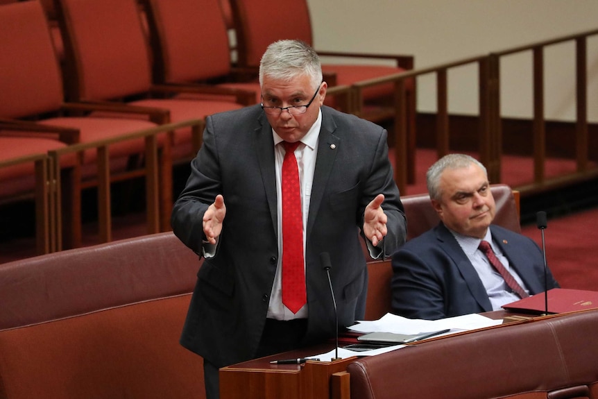 Rex Patrick addresses the Senate while Stirling Griff sits alongside him