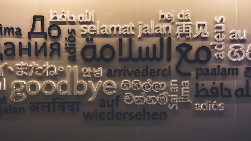 A wall with the word 'goodbye' in multiple languages and many typefaces