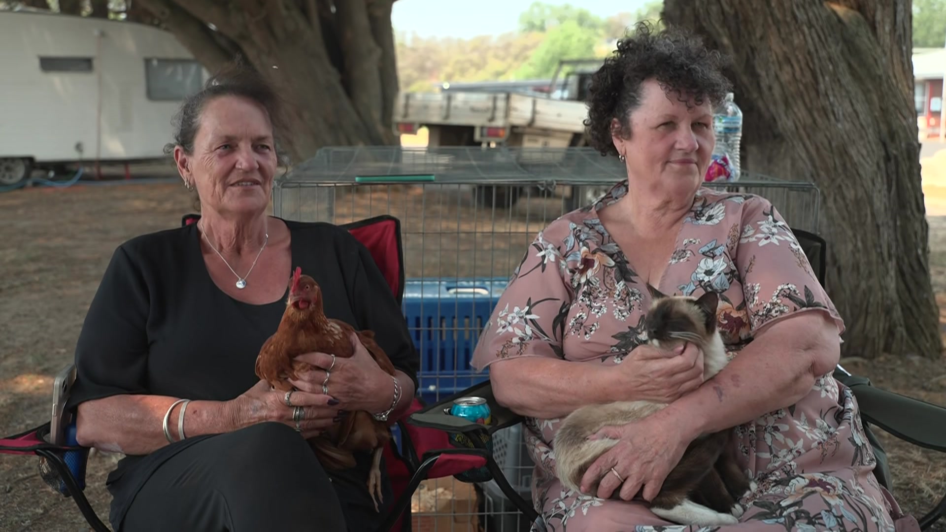 Two women sit in deck chairs, one holding a chicken and the other a cat.