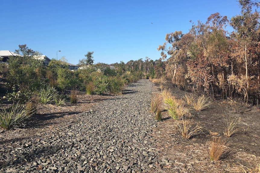 Burnt bushland from fire behind Arcare Peregian Springs nursing home.