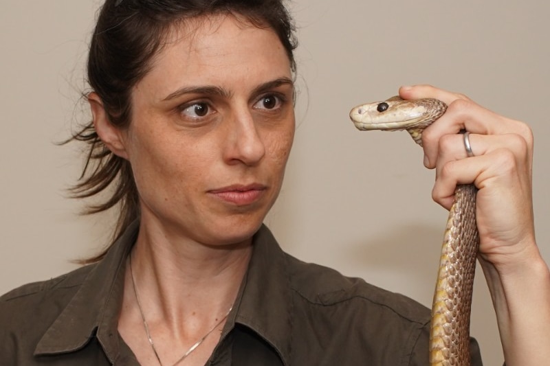 University of Queensland animal expert Dr Christina Zdenek 