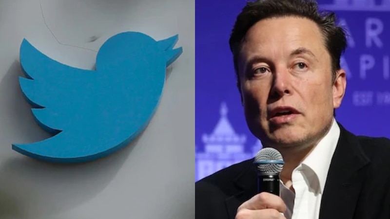 A composite image of the Twitter logo and Elon Musk