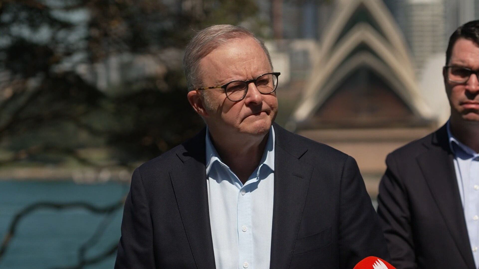 VIDEO: Anthony Albanese hit back at Pauline Hanson after she attacked his mum.