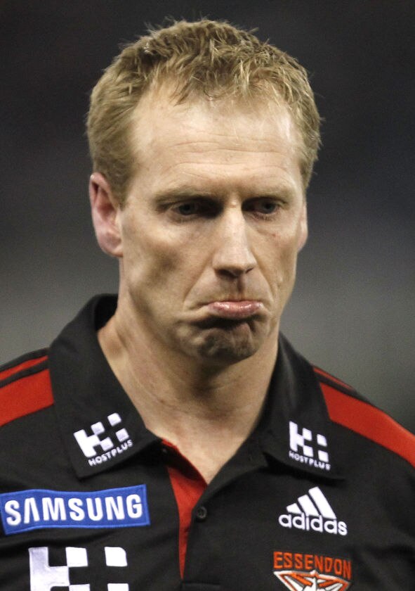 Knights to coach Cats VFL team - ABC News