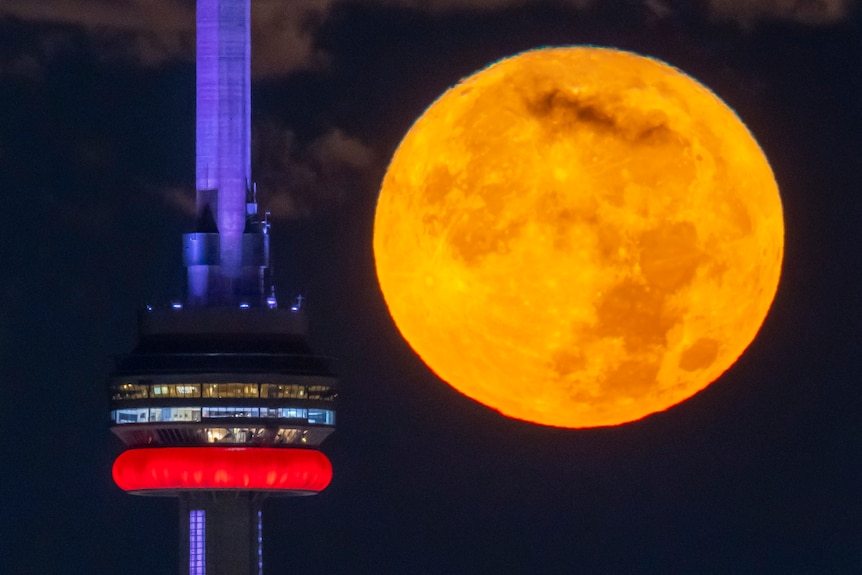 A giant orange moon shines bright next to a tower.