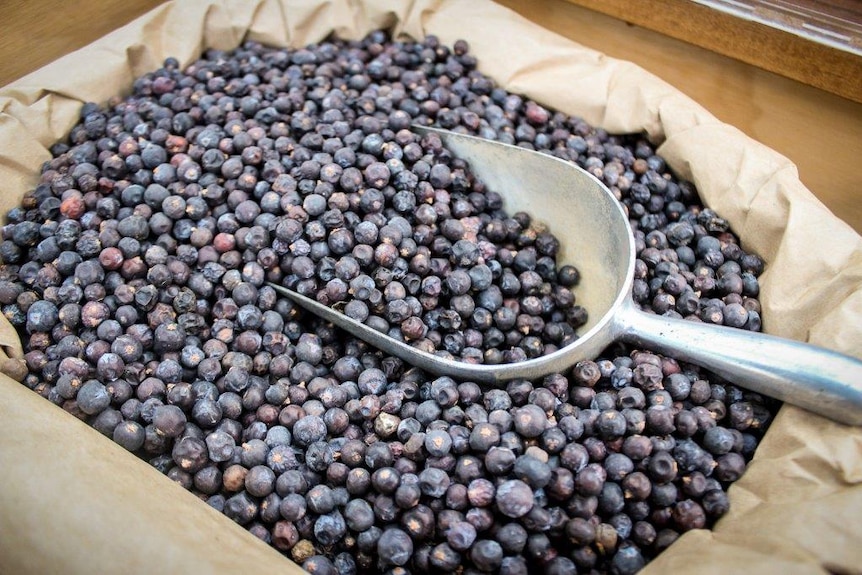 A sack of juniper berries