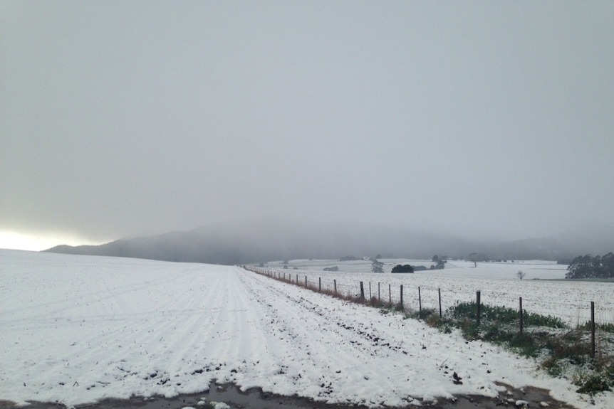 Rare thick snow blanketing the paddocks of north-west Tasmania