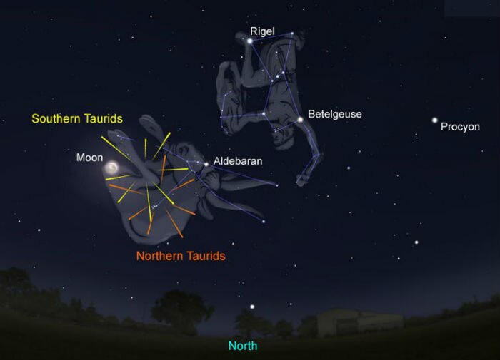 The position of the Southern and Northern Taurids as compared to Taurus and Orion