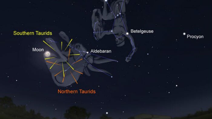 The position of the Southern and Northern Taurids as compared to Taurus and Orion