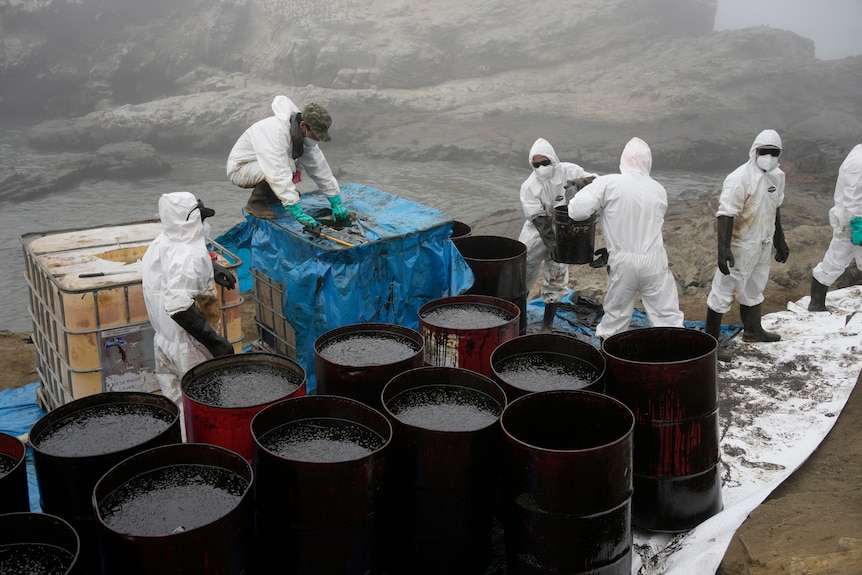 Workers in hazmat suits collect mutiple barrels of oil from a polluted beach. 