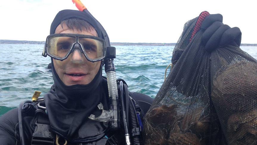 Dr Chris Gillies works on the shellfish restoration trial in Port Phillip Bay.