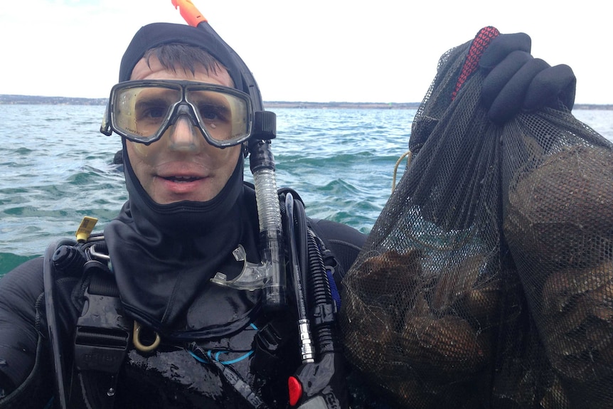 Dr Chris Gillies works on the shellfish restoration trial in Port Phillip Bay.