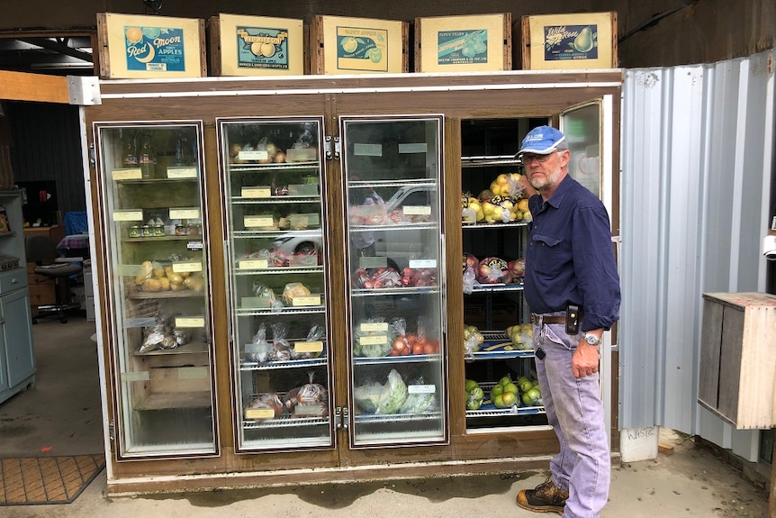 A man stands in front of a large dridge with four clear doors showing bags of fresh fruit inside.