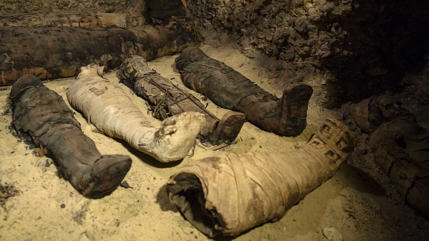 Five mummies wrapped in linen rest in a dark, cave-like burial chamber.