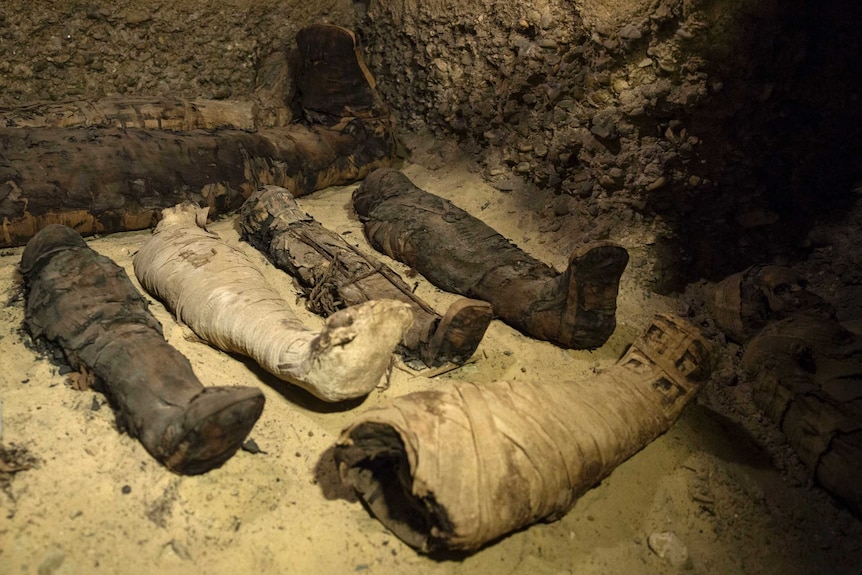 Five mummies wrapped in linen rest in a dark, cave-like burial chamber.