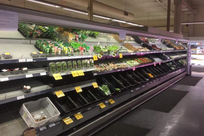 Empty shelves in a fresh food section of a supermarket.