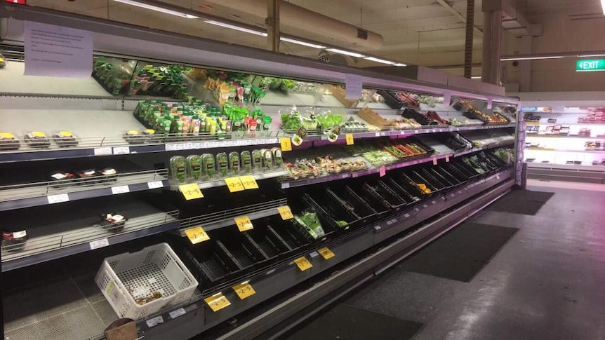 Empty shelves in a fresh food section of a supermarket.