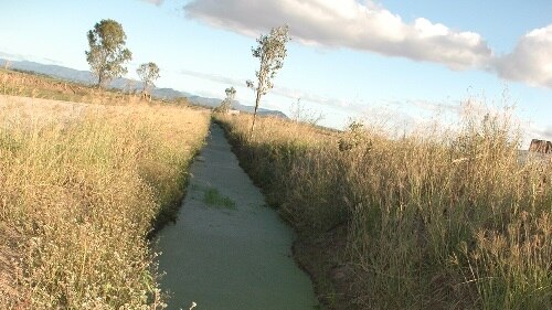 This channel is next to Peters Road, along which children ride pushbike three kilometres from Mareeba CBD.