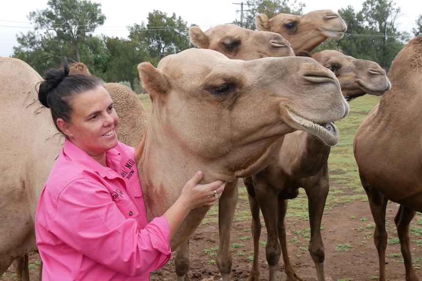 Michelle wearing a bright pink top patting a large male camel next to her 