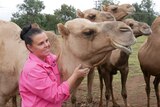 Michelle wearing a bright pink top patting a large male camel next to her 