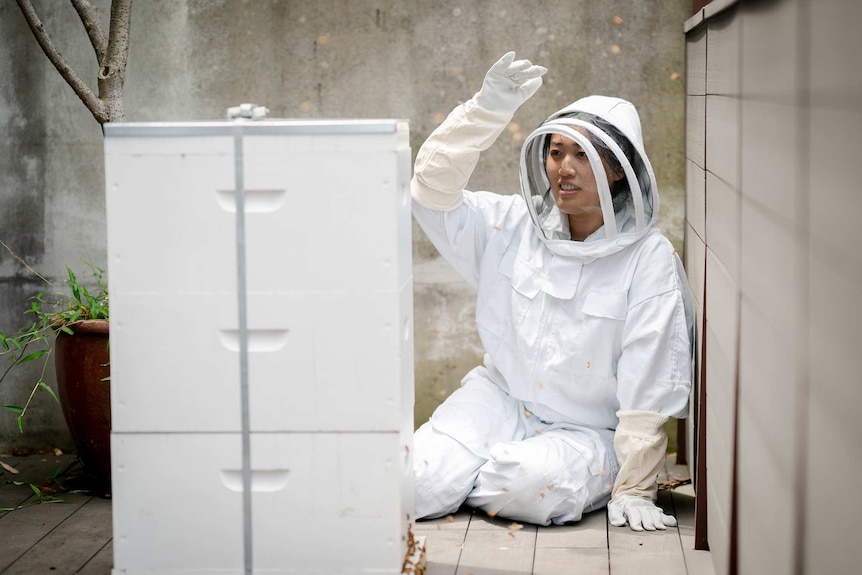 Beekeeper Jade inspects a hive with her white protective suit on.