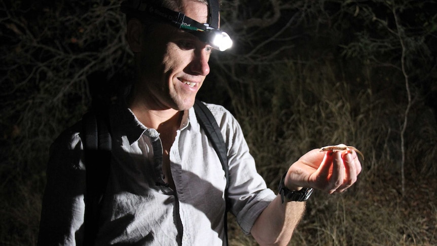 A man looks at a gecko in his hand