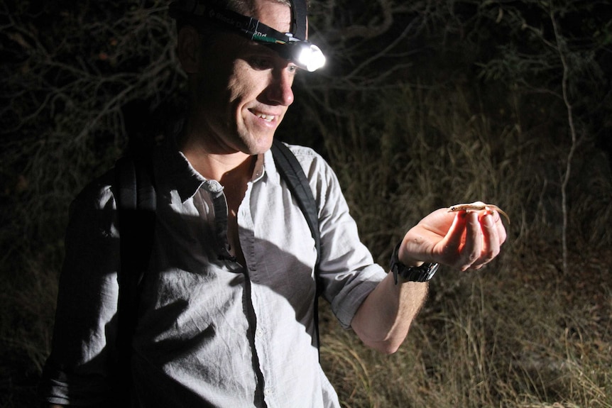 A man looks at a gecko in his hand