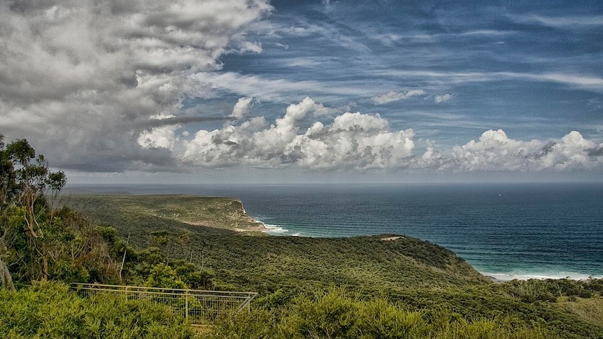 Heritage-listed Royal National Park near Sydney, NSW.