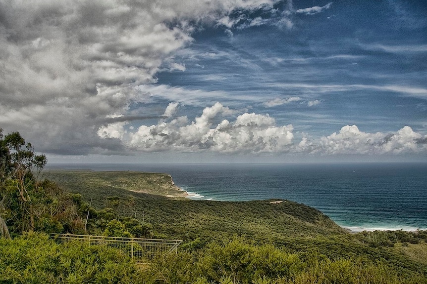 Heritage-listed Royal National Park near Sydney, NSW.